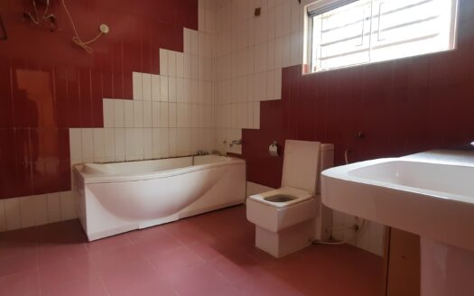 Gorgeous Mansion in Asokoro Abuja F.C.T