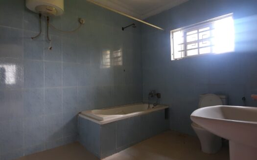 Gorgeous Mansion in Asokoro Abuja F.C.T