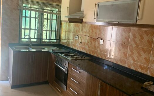 5 Bedroom Duplex Asokoro, Abuja