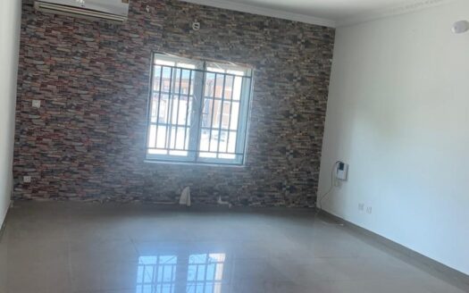 5 Bedroom Duplex Asokoro, Abuja